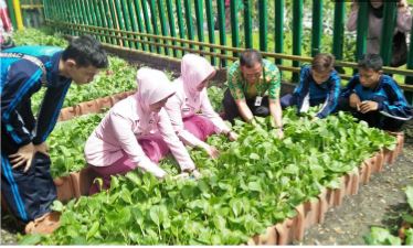 kolam lele dan sayur dg manfaatkan air wudhu