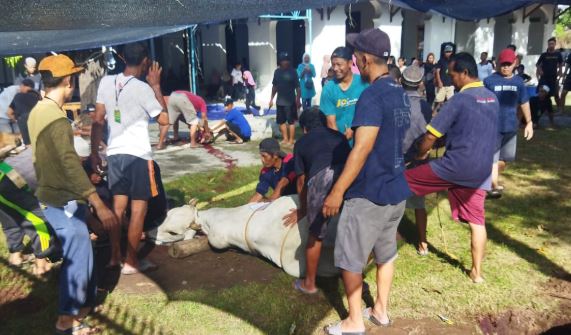 sapi 9