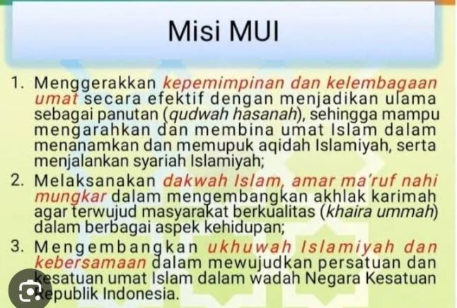 dai mui misi mui