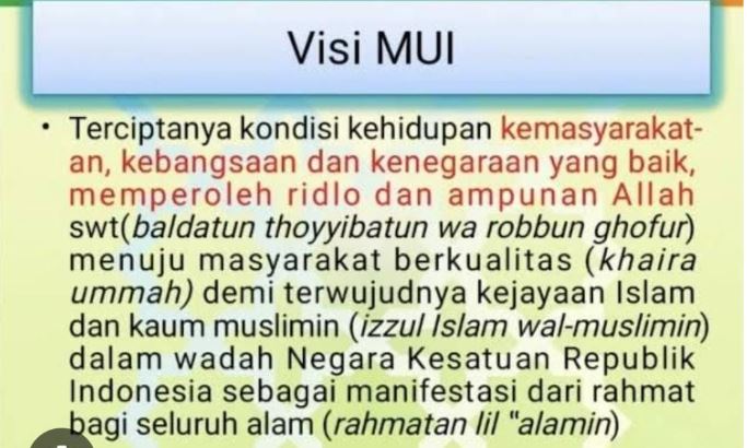 dai mui visi