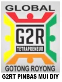 g2rt pinbas mui diy logo